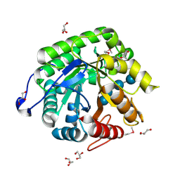 BU of 4hu0 by Molmil