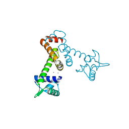 BU of 4hv6 by Molmil