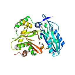 BU of 4hvm by Molmil