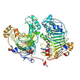 BU of 4hwv by Molmil