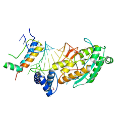 AU of 4hxh by Molmil