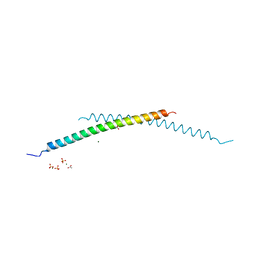 BU of 4i1l by Molmil