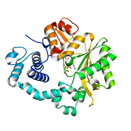 BU of 4i2c by Molmil