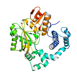 BU of 4i2f by Molmil