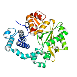 BU of 4i2g by Molmil