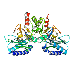 BU of 4i3e by Molmil