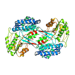 BU of 4i3u by Molmil