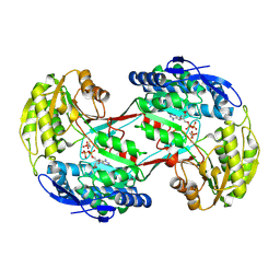 BU of 4i3v by Molmil