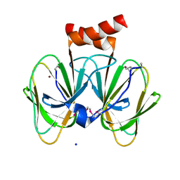 AU of 4i4a by Molmil