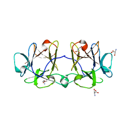 BU of 4i4y by Molmil