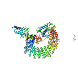 BU of 4i5l by Molmil