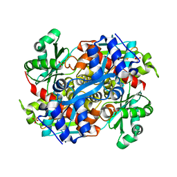 BU of 4i6w by Molmil