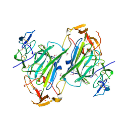 BU of 4i9x by Molmil