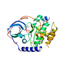 BU of 4ib0 by Molmil