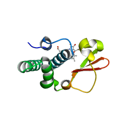 BU of 4ibb by Molmil