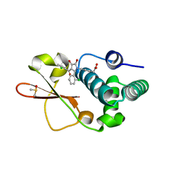 BU of 4ibc by Molmil