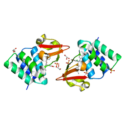 BU of 4ibg by Molmil