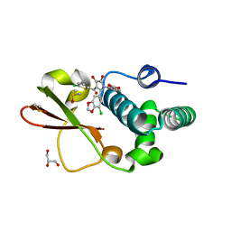 BU of 4ibk by Molmil