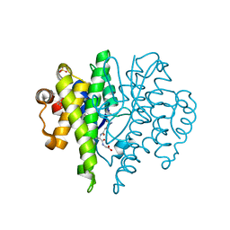 BU of 4ibp by Molmil