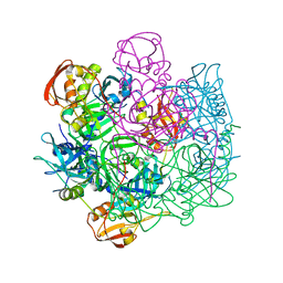 BU of 4ic6 by Molmil