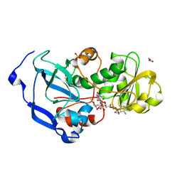 BU of 4idc by Molmil