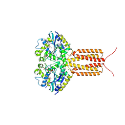 BU of 4idp by Molmil