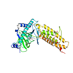 BU of 4ie0 by Molmil