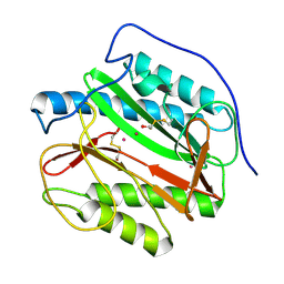 BU of 4iec by Molmil