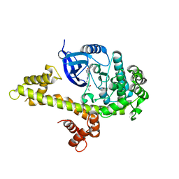 BU of 4ifg by Molmil