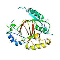 BU of 4igp by Molmil