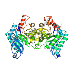 BU of 4ih3 by Molmil