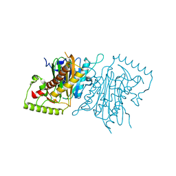 BU of 4ihd by Molmil