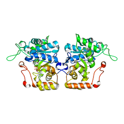 BU of 4ijr by Molmil