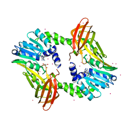 BU of 4ikp by Molmil