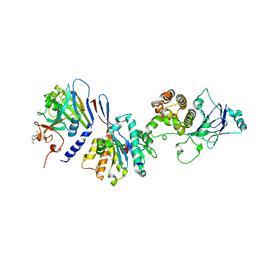 BU of 4ilg by Molmil