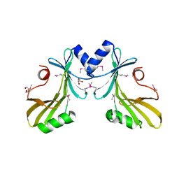 AU of 4ipb by Molmil