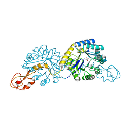 BU of 4ipj by Molmil