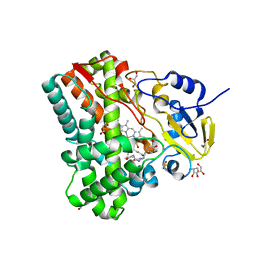 BU of 4ips by Molmil