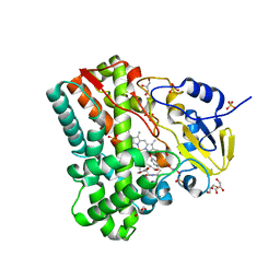 BU of 4ipw by Molmil