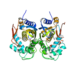 AU of 4iqq by Molmil