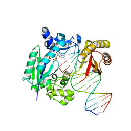 BU of 4irc by Molmil