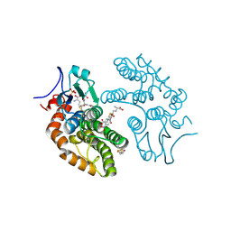 BU of 4is0 by Molmil