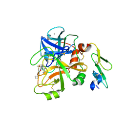 BU of 4isi by Molmil