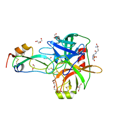 BU of 4iso by Molmil