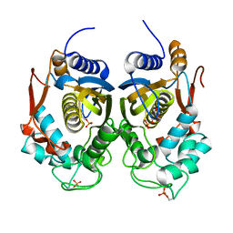 BU of 4isw by Molmil