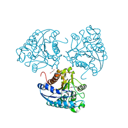 BU of 4iu1 by Molmil