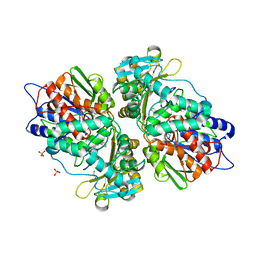 BU of 4iv9 by Molmil