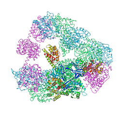 BU of 4ivj by Molmil