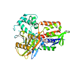 BU of 4ivm by Molmil