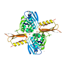 BU of 4ixm by Molmil